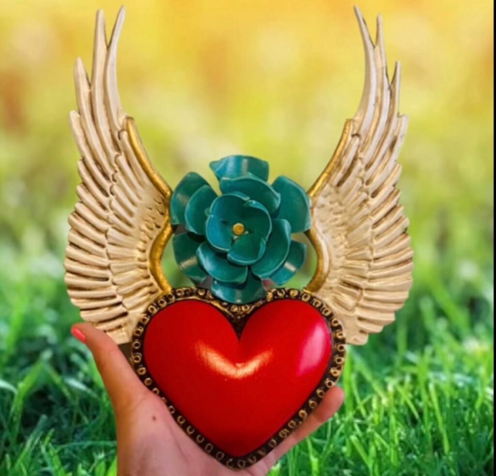 WhatsApp Image 2026-01-12 at 11.06.38 AM (1)