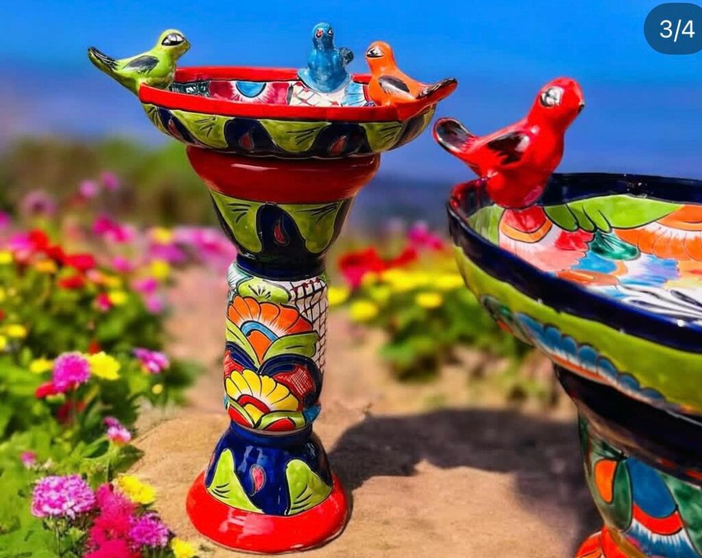 WhatsApp Image 2026-01-12 at 11.06.38 AM